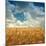 Wheat Field Landscape with Sky-Leonid Nyshko-Mounted Photographic Print