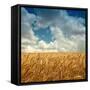 Wheat Field Landscape with Sky-Leonid Nyshko-Framed Stretched Canvas