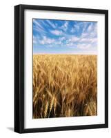 Wheat Field, Oregon, USA-Stuart Westmorland-Framed Photographic Print