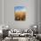 Wheat Field, Oregon, USA-Stuart Westmorland-Photographic Print displayed on a wall