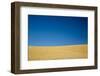 Wheat Field Ready for Harvest with Blue Sky-Terry Eggers-Framed Photographic Print