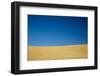 Wheat Field Ready for Harvest with Blue Sky-Terry Eggers-Framed Photographic Print