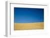 Wheat Field Ready for Harvest with Blue Sky-Terry Eggers-Framed Photographic Print