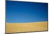 Wheat Field Ready for Harvest with Blue Sky-Terry Eggers-Mounted Photographic Print