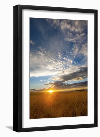 Wheat Field Sunset-Dan Ballard-Framed Photographic Print