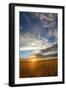 Wheat Field Sunset-Dan Ballard-Framed Photographic Print