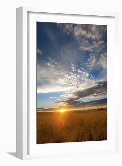 Wheat Field Sunset-Dan Ballard-Framed Photographic Print