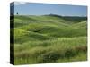 Wheat field, Tuscany, Italy-Adam Jones-Stretched Canvas