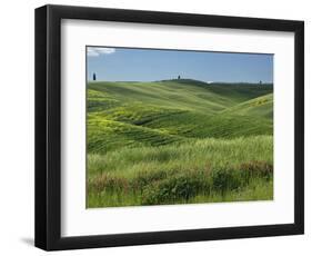 Wheat field, Tuscany, Italy-Adam Jones-Framed Photographic Print
