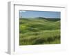 Wheat field, Tuscany, Italy-Adam Jones-Framed Photographic Print