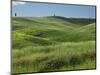 Wheat field, Tuscany, Italy-Adam Jones-Mounted Photographic Print