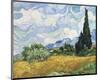 Wheat Field with Cypresses, 1889-Vincent van Gogh-Mounted Art Print