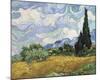 Wheat Field with Cypresses, 1889-Vincent van Gogh-Mounted Art Print