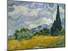 Wheat Field with Cypresses, 1889-Vincent van Gogh-Mounted Premium Giclee Print