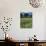 Wheat Field with Wild Flowers on the Edge on Farmland Near Warwick, Warwickshire, England, UK-David Hughes-Photographic Print displayed on a wall