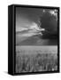 Wheat Field-Ed Clark-Framed Stretched Canvas