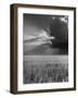 Wheat Field-Ed Clark-Framed Photographic Print