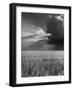 Wheat Field-Ed Clark-Framed Photographic Print