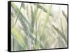 Wheat Field-null-Framed Stretched Canvas