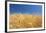 Wheat Field-Craig Tuttle-Framed Premium Photographic Print