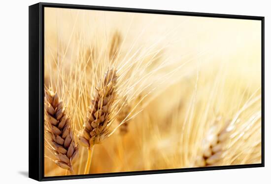 Wheat Field-Iakov Kalinin-Framed Stretched Canvas