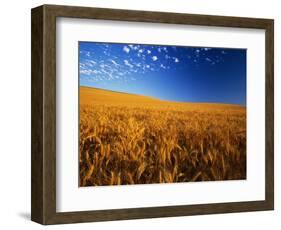 Wheat Field-Darrell Gulin-Framed Photographic Print