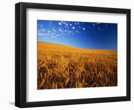 Wheat Field-Darrell Gulin-Framed Photographic Print