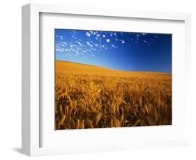 Wheat Field-Darrell Gulin-Framed Photographic Print