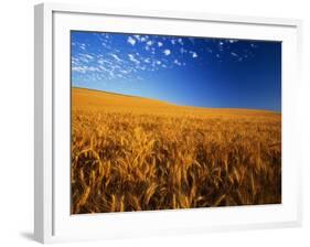 Wheat Field-Darrell Gulin-Framed Photographic Print