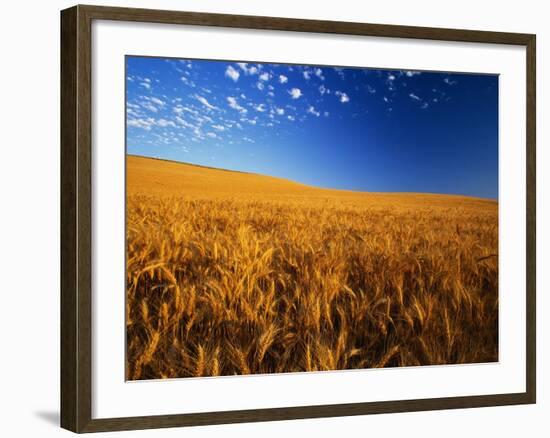 Wheat Field-Darrell Gulin-Framed Photographic Print