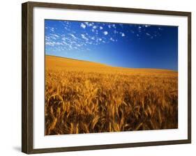 Wheat Field-Darrell Gulin-Framed Photographic Print