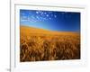 Wheat Field-Darrell Gulin-Framed Photographic Print