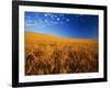 Wheat Field-Darrell Gulin-Framed Photographic Print