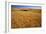 Wheat Field-Darrell Gulin-Framed Photographic Print