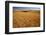 Wheat Field-Darrell Gulin-Framed Photographic Print