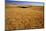 Wheat Field-Darrell Gulin-Mounted Photographic Print