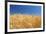 Wheat Field-Craig Tuttle-Framed Photographic Print