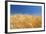 Wheat Field-Craig Tuttle-Framed Photographic Print