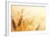 Wheat Field-Iakov Kalinin-Framed Photographic Print