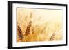 Wheat Field-Iakov Kalinin-Framed Photographic Print