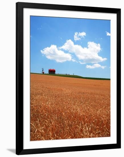 Wheat Field-null-Framed Photographic Print