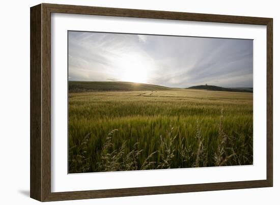 wheat field-Viviane Fedieu Danielle-Framed Photographic Print