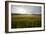 wheat field-Viviane Fedieu Danielle-Framed Photographic Print