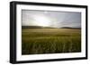 wheat field-Viviane Fedieu Danielle-Framed Photographic Print