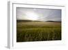 wheat field-Viviane Fedieu Danielle-Framed Photographic Print