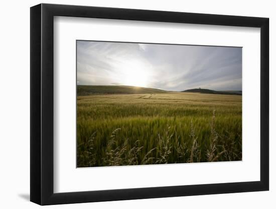 wheat field-Viviane Fedieu Danielle-Framed Photographic Print