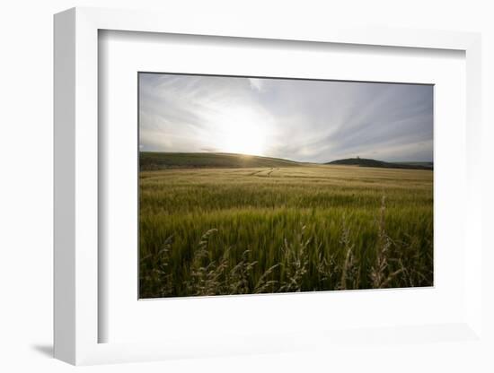 wheat field-Viviane Fedieu Danielle-Framed Photographic Print