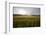 wheat field-Viviane Fedieu Danielle-Framed Photographic Print