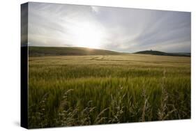 wheat field-Viviane Fedieu Danielle-Stretched Canvas