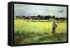 Wheat Field-Berthe Morisot-Framed Stretched Canvas